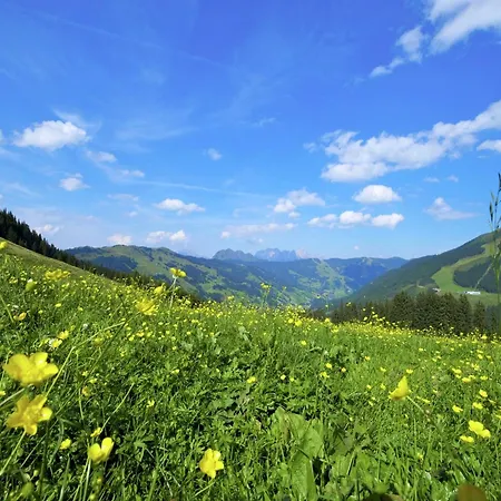 In Near Lift Horská chata *