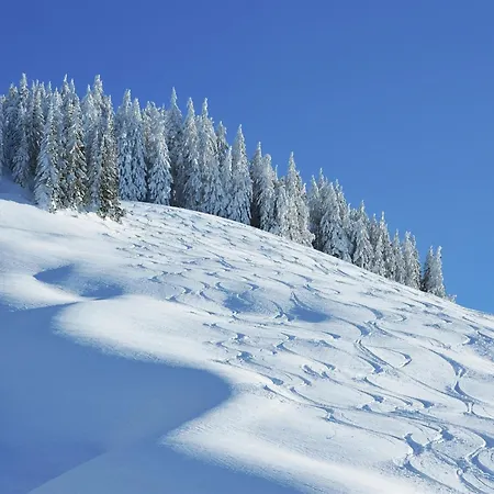 In Near Lift * Saalbach-Hinterglemm