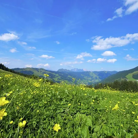 Chalet Modern In Hinterglemm With Garden *