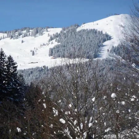 Chalet Modern In Hinterglemm With Garden Saalbach-Hinterglemm
