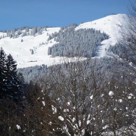 Domek alpejski In Near Lift *