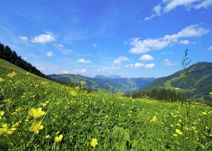 In Near Lift Chalet *